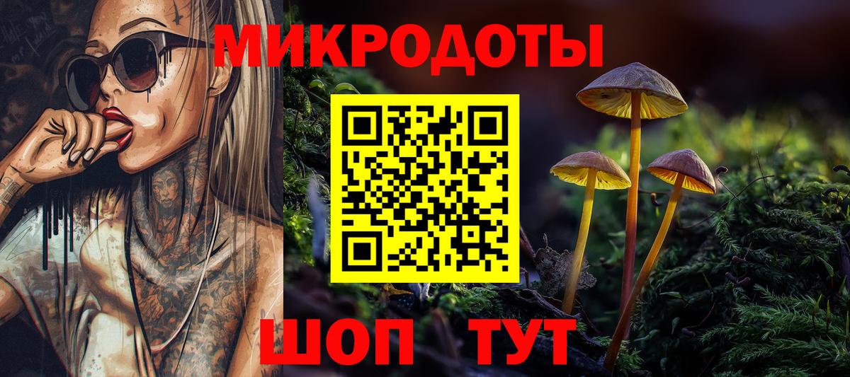 Псилоцибиновые грибы Psilocybine cubensis Нарткала